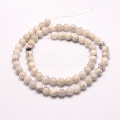 Natural Howlite Beads Strands G-E380-08-6mm-1