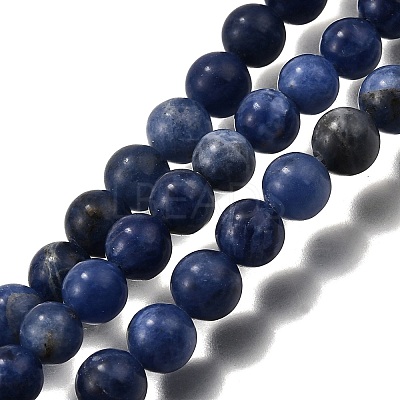 Round Natural Sodalite Beads Strands G-F222-39-10mm-1