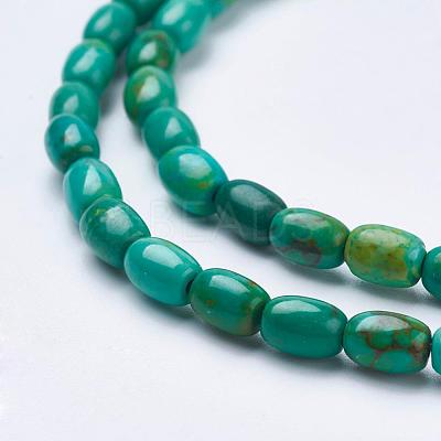 Natural Magnesite Beads Strands TURQ-K003-01B-1