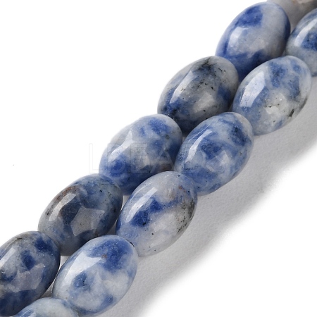 Natural Blue Spot Jasper Beads Strands G-I369-B01-01-1