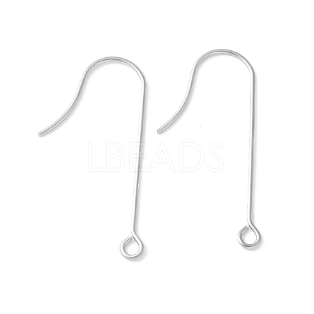 316 Surgical Stainless Steel Earring Hooks STAS-Z124-02B-P-1