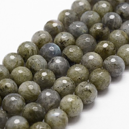 Natural Labradorite Beads Strands G-G736-04-10mm-1
