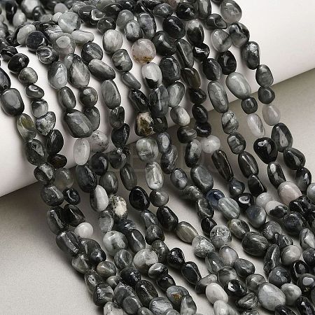 Natural Eagle Eye Stone Beads Strands G-D108-A02-04-1