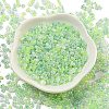 Ceylon Glass Seed Beads SEED-K009-02B-42-2
