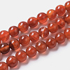 Natural Agate Beads Strands G-I261-B01-8mm-2