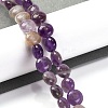 Natural Amethyst Beads Strands G-T047-A04-01-2