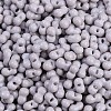Baking Paint Glass Seed Beads X1-SEED-K010-A04-2