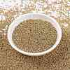 MIYUKI Round Rocailles Beads SEED-G009-RR0182-2