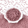 FGB Frosted Transparent Glass Seed Beads SEED-N013-06A-06-2