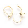 304 Stainless Steel Leverback Earrings Findings STAS-F188-10G-2