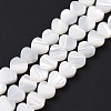 Natural Trochus Shell Beads Strands SSHEL-H070-06A-3