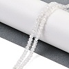 Natural Rainbow Moonstone Beads Strands G-F778-A06-01-2