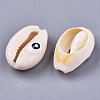 Natural Cowrie Shell Beads SHEL-S266-23C-2