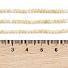 Natural Trochus Shell Beads Strands BSHE-G036-08A-02-4