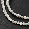 Natural White Shell Beads Strands SHEL-G014-14-4