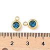304 Stainless Steel Charms STAS-Z115-01G-14-3