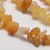 Natural Yellow Aventurine Chip Beads Strands X-G-L269-36-2