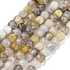 Natural Botswana Agate Beads Strands G-H042-A07-02-2