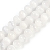 Natural Selenite Beads Strands X-G-G167-A01-01-1