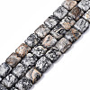 Natural Map Stone/Picasso Stone/Picasso Jasper Beads Strands X-G-N326-140H-1