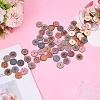 100Pcs 2-Hole Poplar Board Buttons BUTT-CY0001-14-3