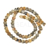 Natural Crazy Agate Beads Strands G-A272-A01-09-4