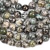 Natural K2 Stone Beads Strands G-K405-B03-8mm-5