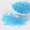Round 12/0 Glass Seed Beads X-SEED-A006-2mm-103B-1