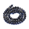 Natural Iolite Beads Strands G-E561-16-6mm-2