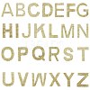 Glitter Hotfix Rhinestone Iron on Patches DIY-WH0183-09A-1