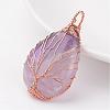 Natural Amethyst Pendants G-K122-09RG-2