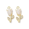 Brass Micro Pave Clear Cubic Zirconia and Enamel Charms KK-A300-22G-01-1