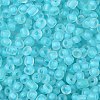 6/0 Luminous Glass Seed Beads SEED-NH0001-01N-4