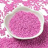 Baking Paint Glass Seed Beads SEED-P006-03A-03-2