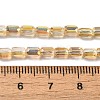 Electroplate Glass Beads Strands EGLA-D031-01-19-4
