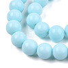 Opaque Solid Color Glass Beads Strands GLAA-T032-P6mm-10-3