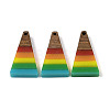 Pride Rainbow Theme Resin & Walnut Wood Pendants WOOD-K012-10C-1