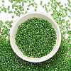 FGB 8/0 Grade A Round Glass Seed Beads SEED-Q007-3mm-F49-5