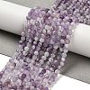 Natural Amethyst Beads Strands G-G155-B02-01-2