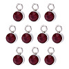 10Pcs Glass Rhinestone Charms STAS-TA0003-26D-1