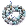 Natural Chrysocolla Beads Strands G-R477-12mm-2