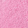 MIYUKI Round Rocailles Beads SEED-G008-RR0207-3