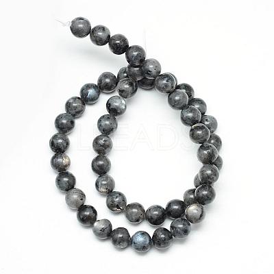 Natural Larvikite Beads Strands G-R345-4mm-33-1