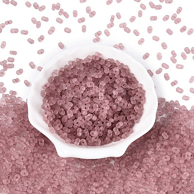 FGB Frosted Transparent Glass Seed Beads SEED-N013-06A-06-1