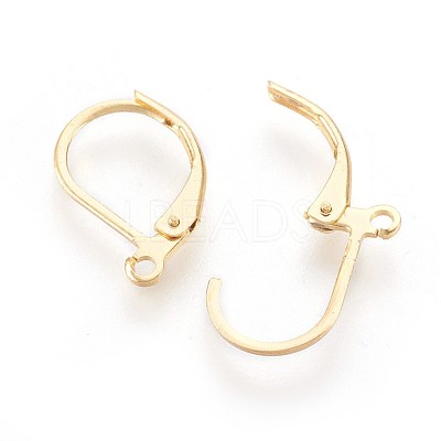304 Stainless Steel Leverback Earrings Findings STAS-F188-10G-1