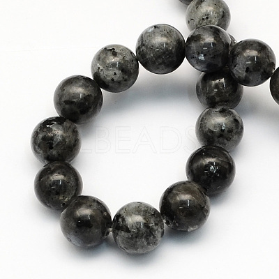 Natural Larvikite Round Beads Strands G-S159-4mm-1