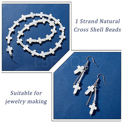 1 Strand Natural Trochid Shell/Trochus Shell Beads Strands SSHEL-GA0001-17-1