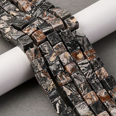 Natural Map Stone Beads Strands X-G-T139-8x8-45A-1