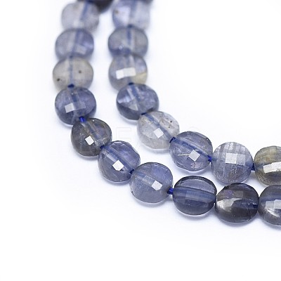 Natural Iolite Beads Strands G-I249-A04-1