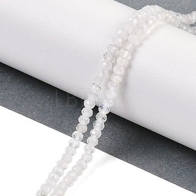 Natural Rainbow Moonstone Beads Strands G-F778-A06-01-1
